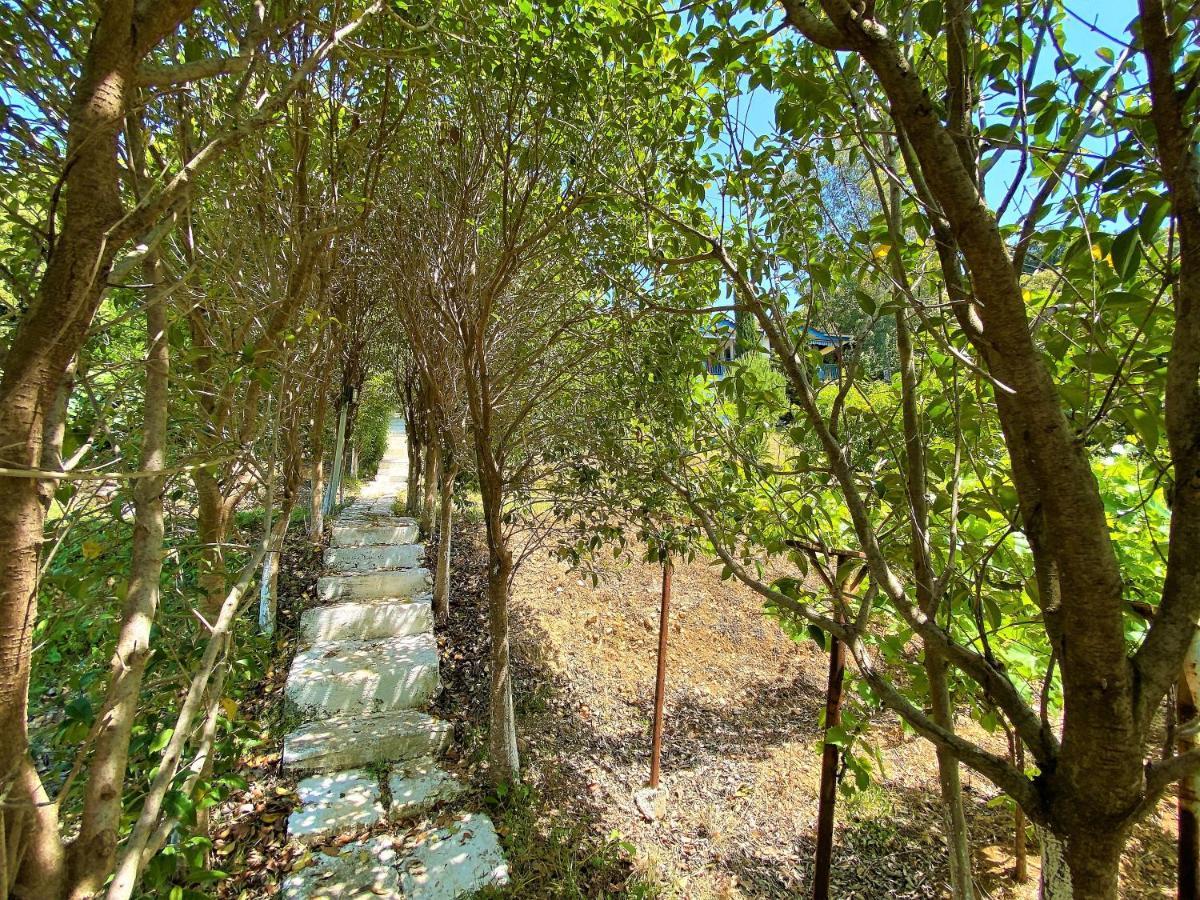 Ramo'S Cozy Beachside Haven With Panoramic Views - 1St Vlorë Extérieur photo